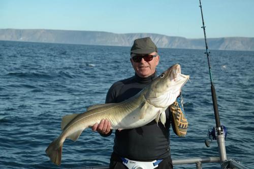 cod 03
